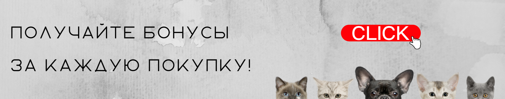 Бонусная программа Бонусная программа